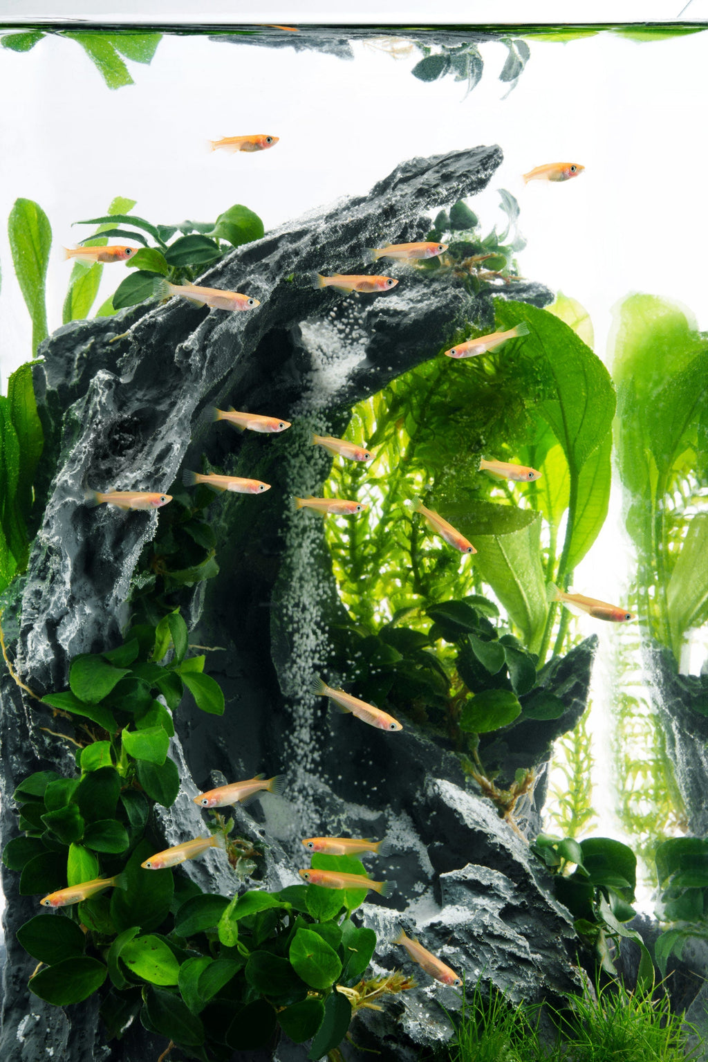 Sand Waterfall Aquarium Kit A2