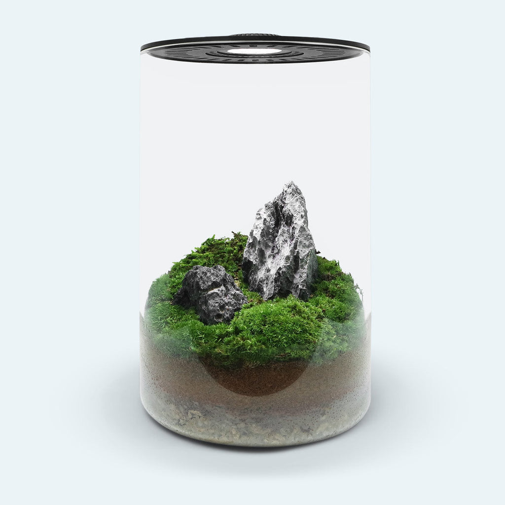 Bio Cylinder Terrarium