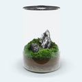 Bio Cylinder Terrarium