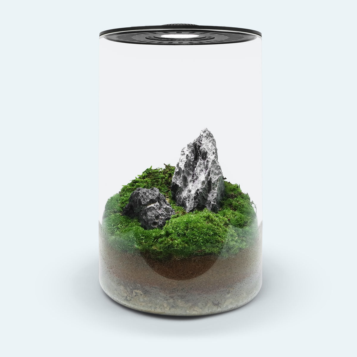 Bio Cylinder Terrarium