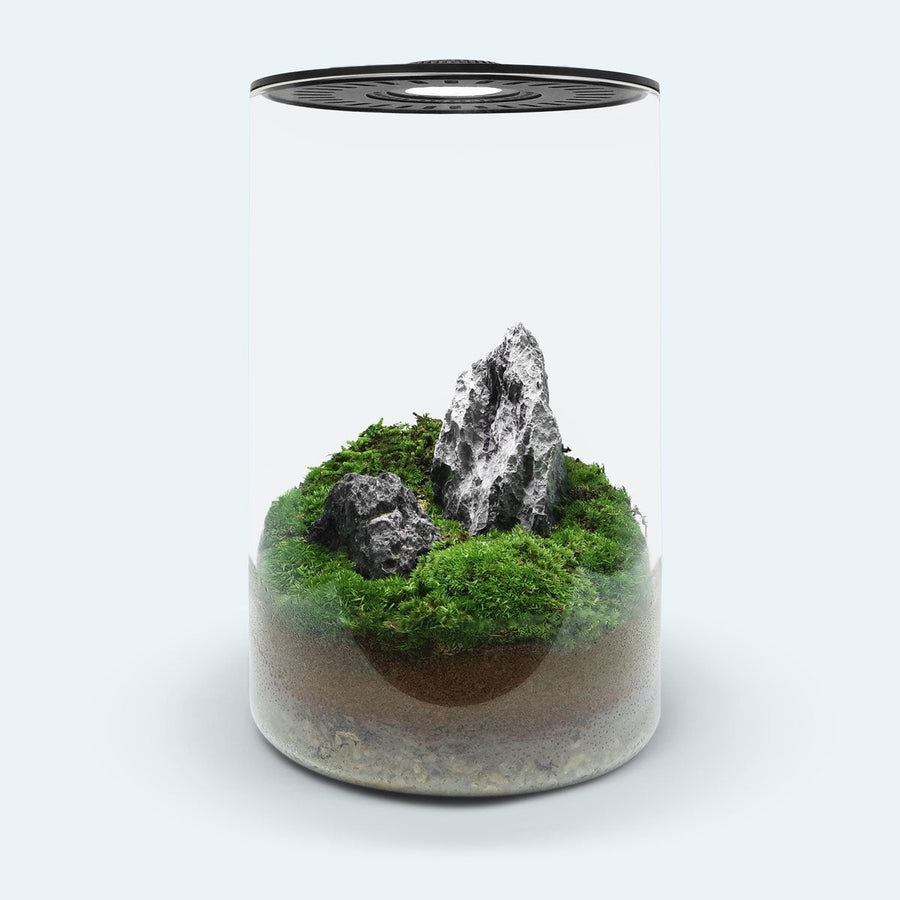 Bio Cylinder Terrarium