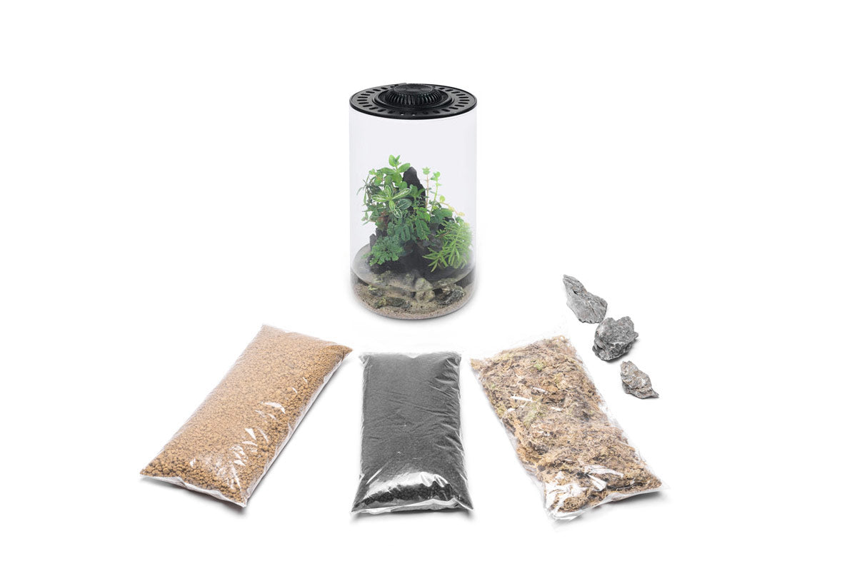Bio Cylinder Terrarium