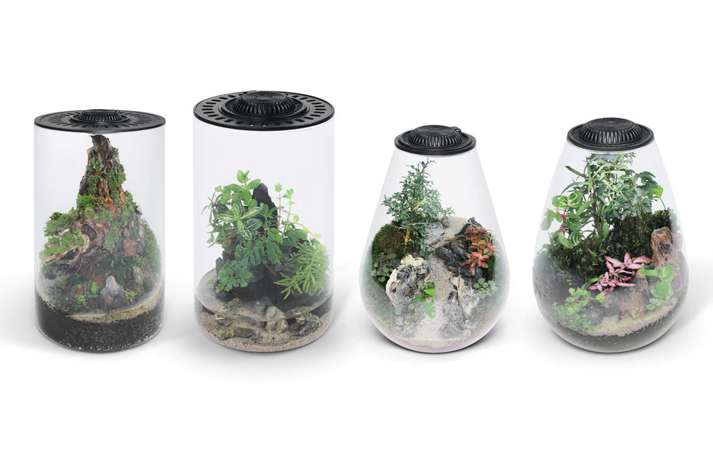 Bio Cylinder Terrarium