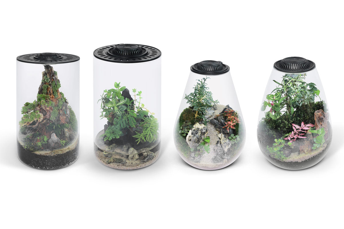 Bio Cylinder Terrarium