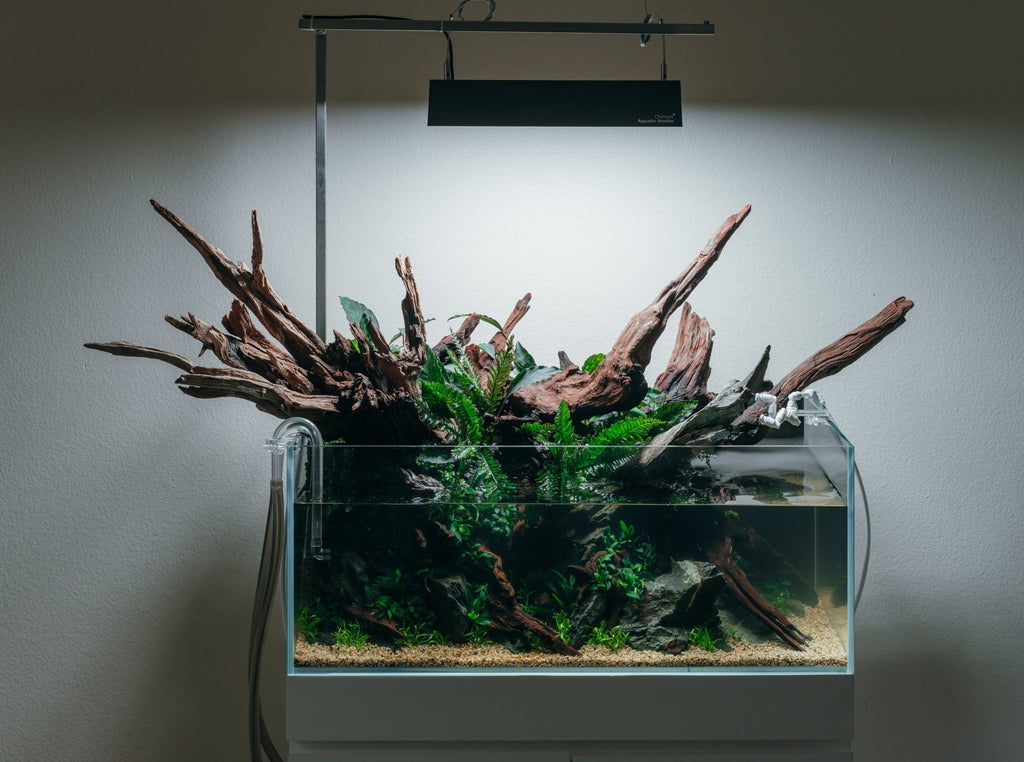 Rimless Shallow Glass Aquarium Tank