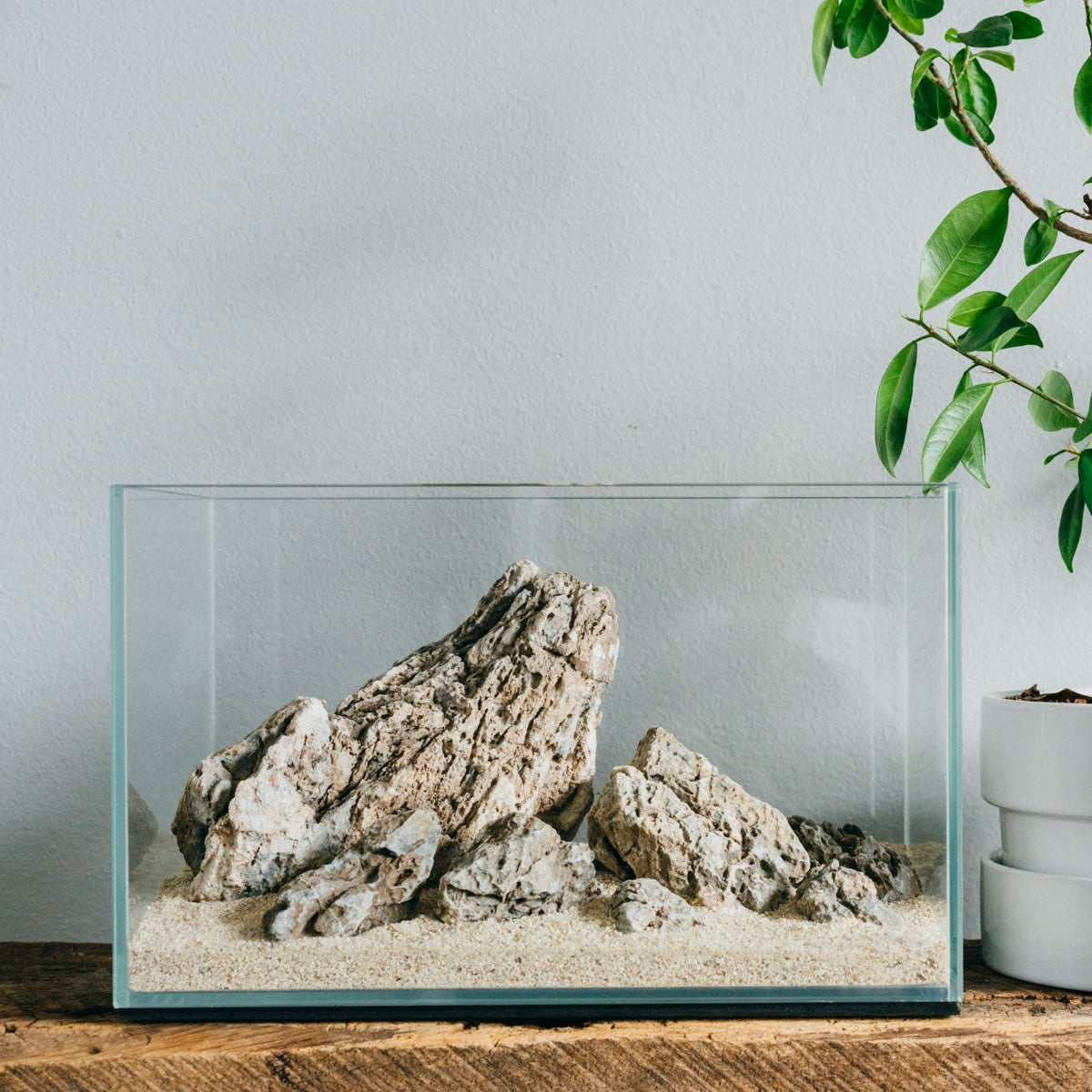 Seiryu Stone