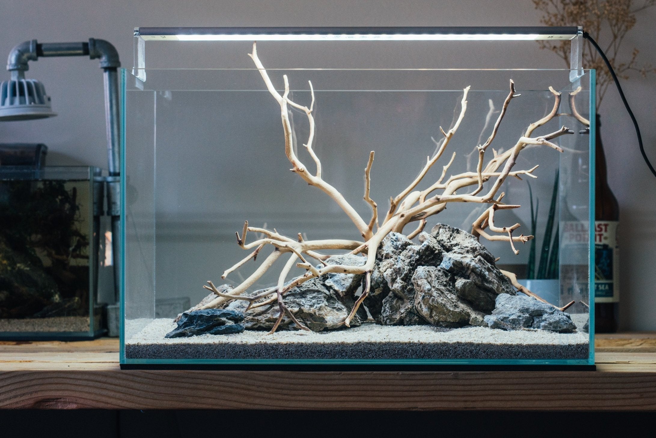 Sandblasted Manzanita Driftwood