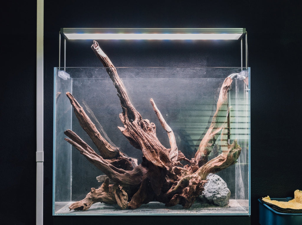Natural Amazon Wood Driftwood for Aquariums