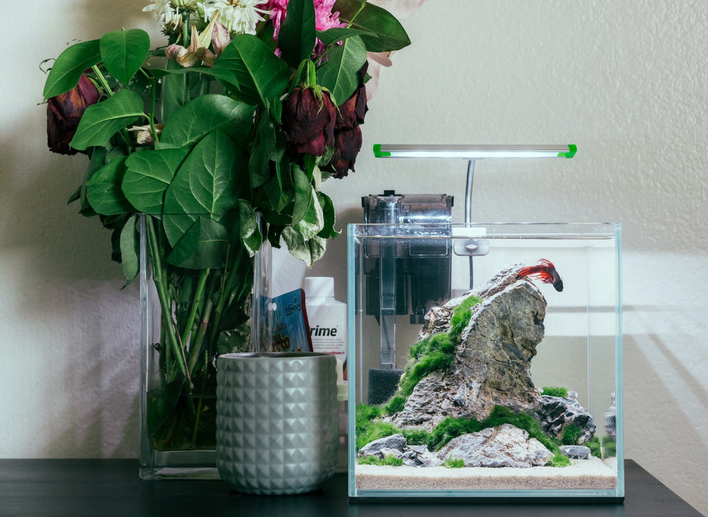 Seiryu Stone Accent Rocks
