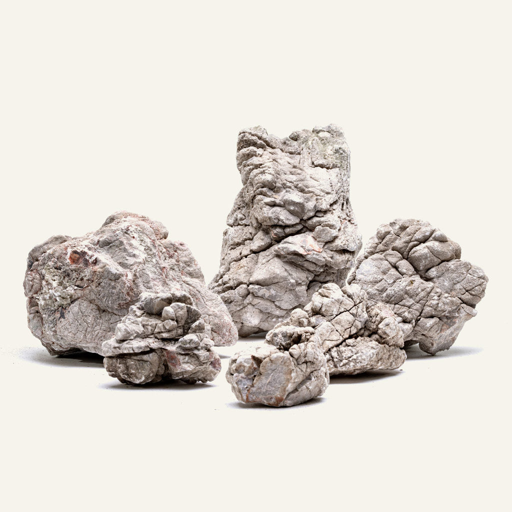 Elephant Skin Stone