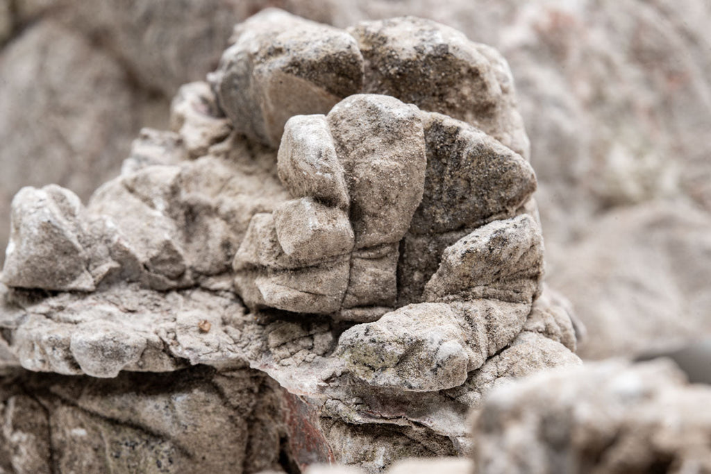 Elephant Skin Stone