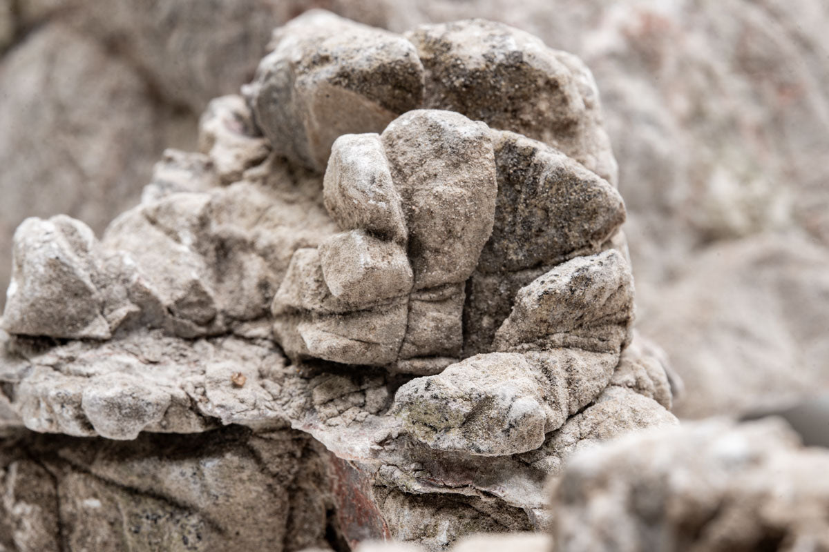 Elephant Skin Stone