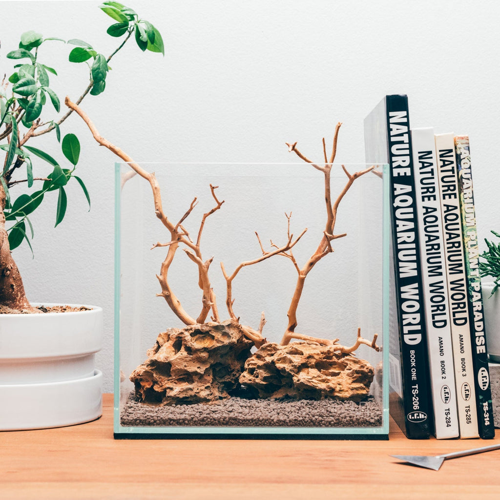 Sandblasted Manzanita Driftwood