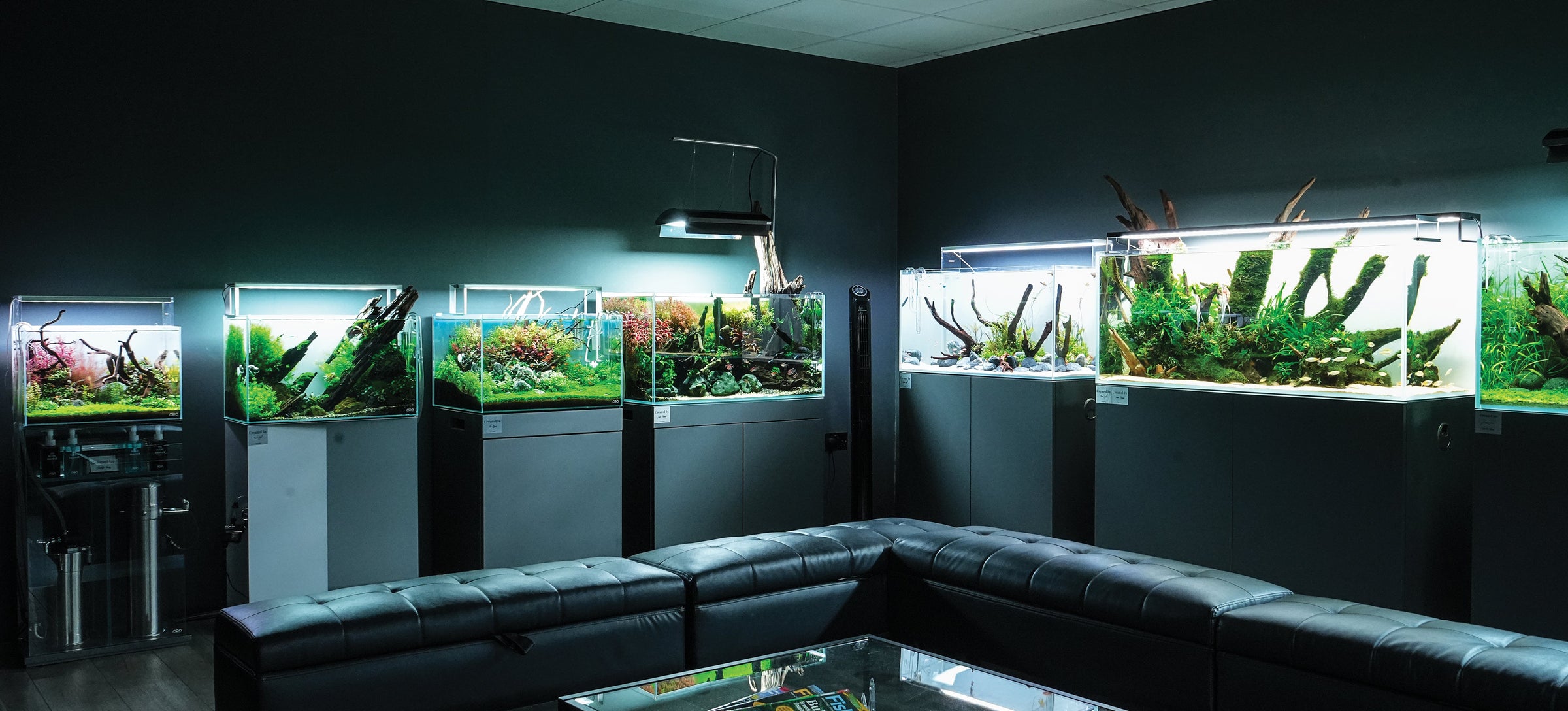 Aquascaping Supplies - Aquarium Tanks, Driftwood, Stones & Kits