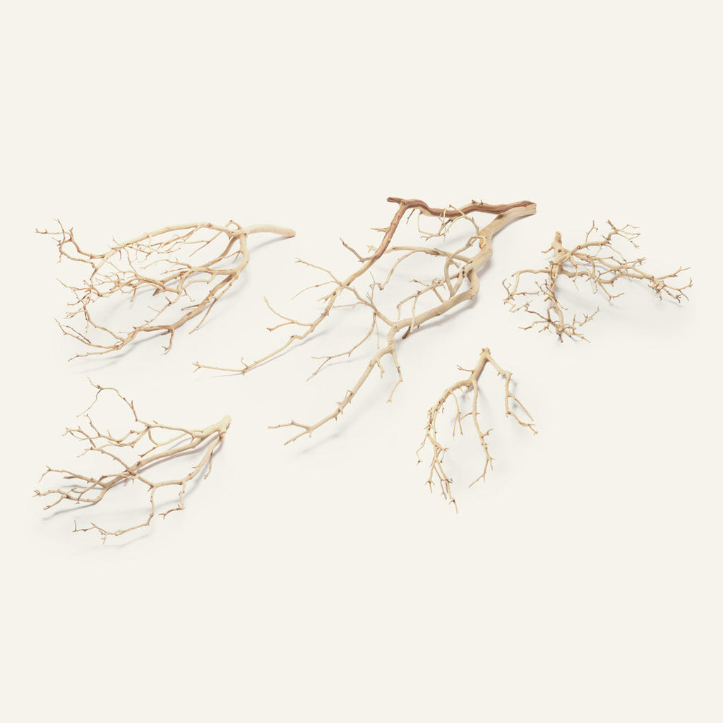 Sandblasted Manzanita Driftwood