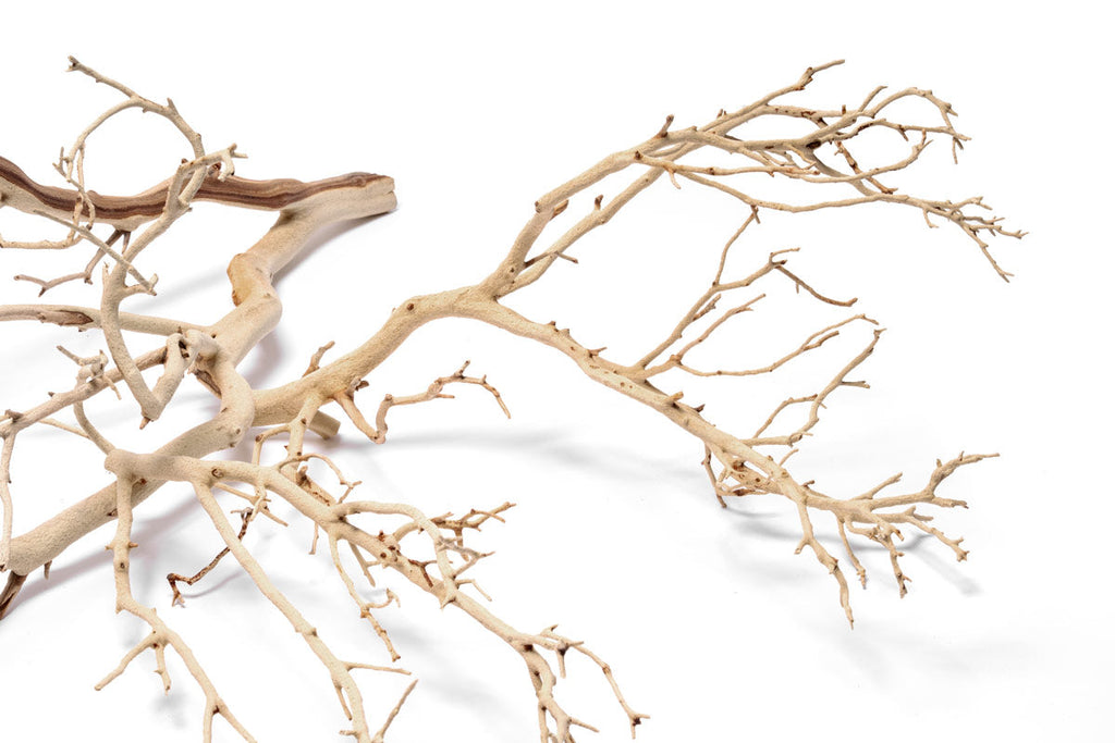 Sandblasted Manzanita Driftwood