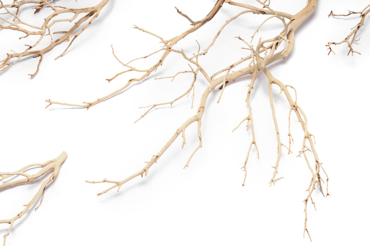 Sandblasted Manzanita Driftwood
