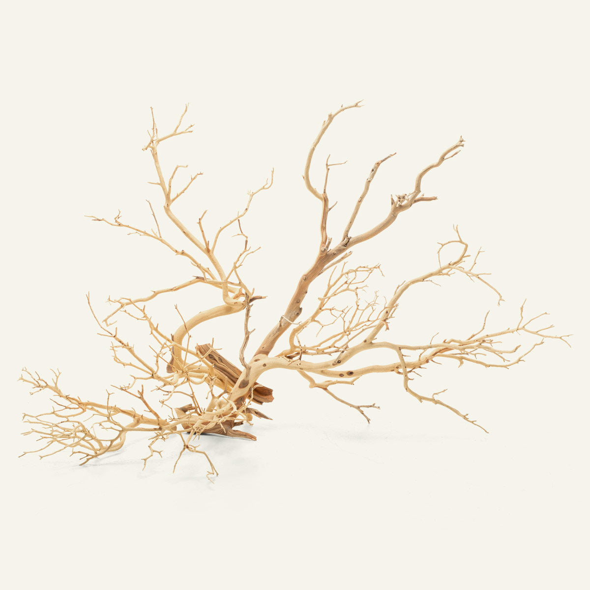 Sandblasted Manzanita Driftwood