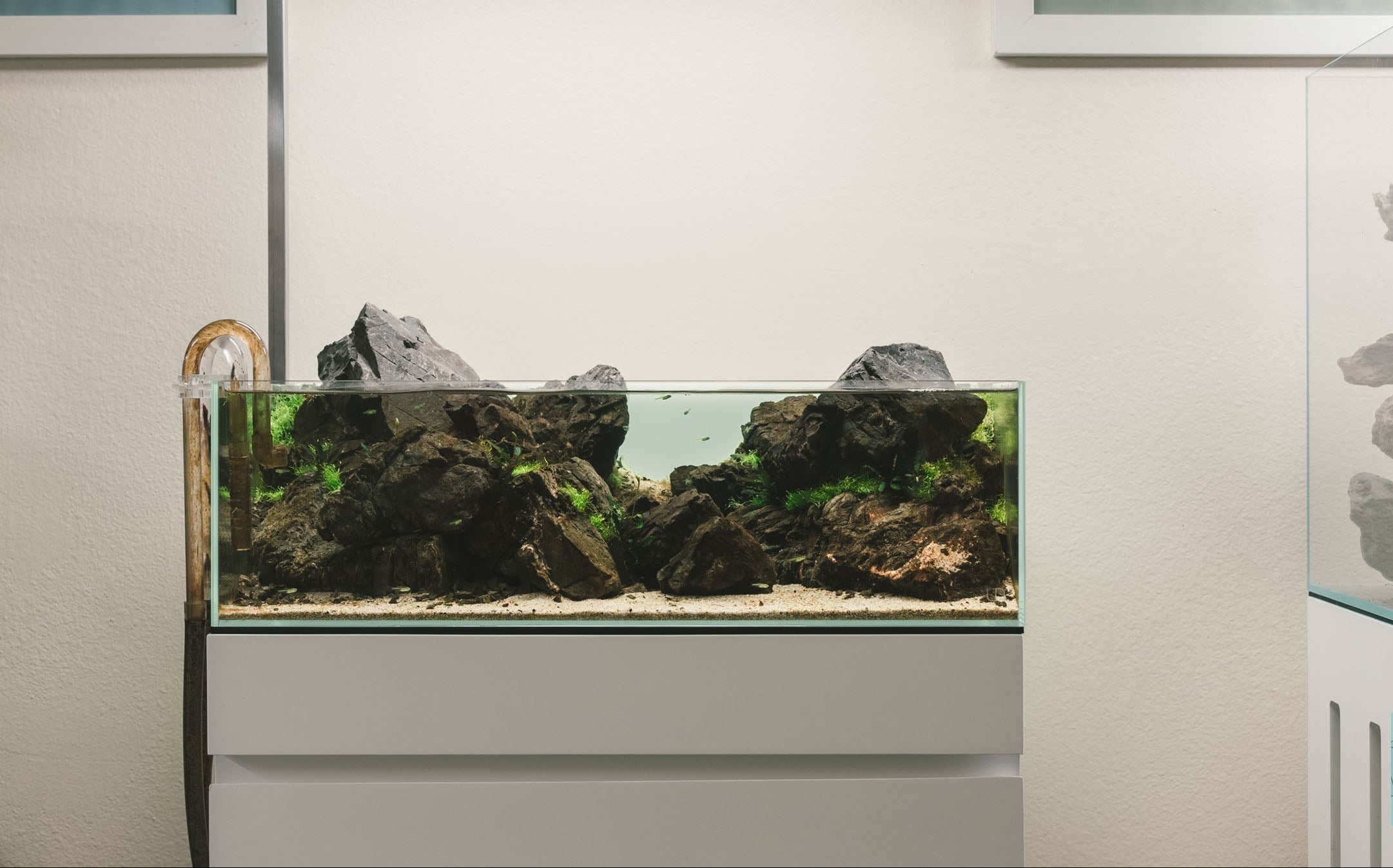 Rimless Shallow Glass Aquarium Tank