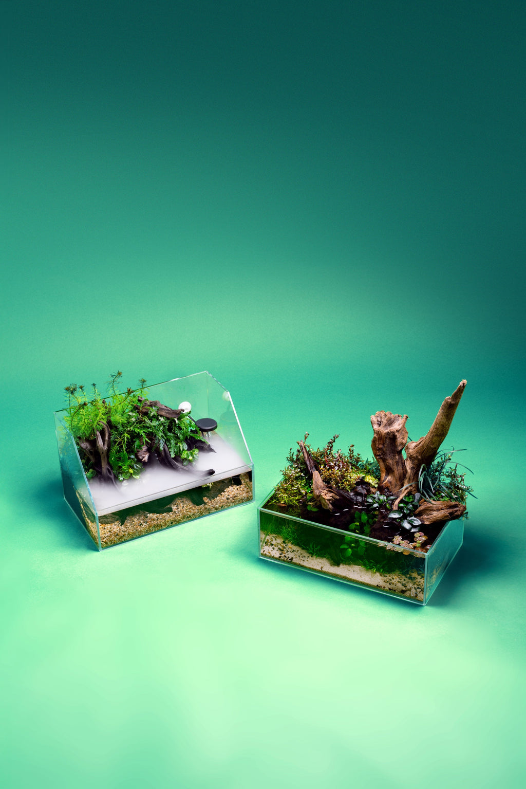 Paludarium Tank System