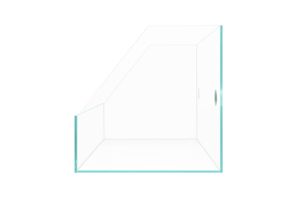 Paludarium Tank System