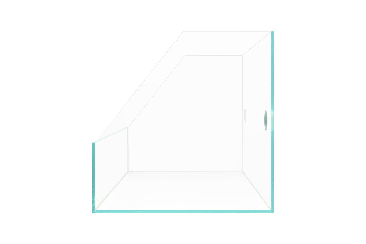 Paludarium Tank System