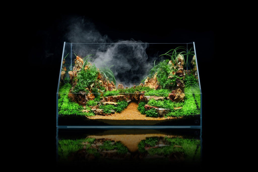 Paludarium Tank System