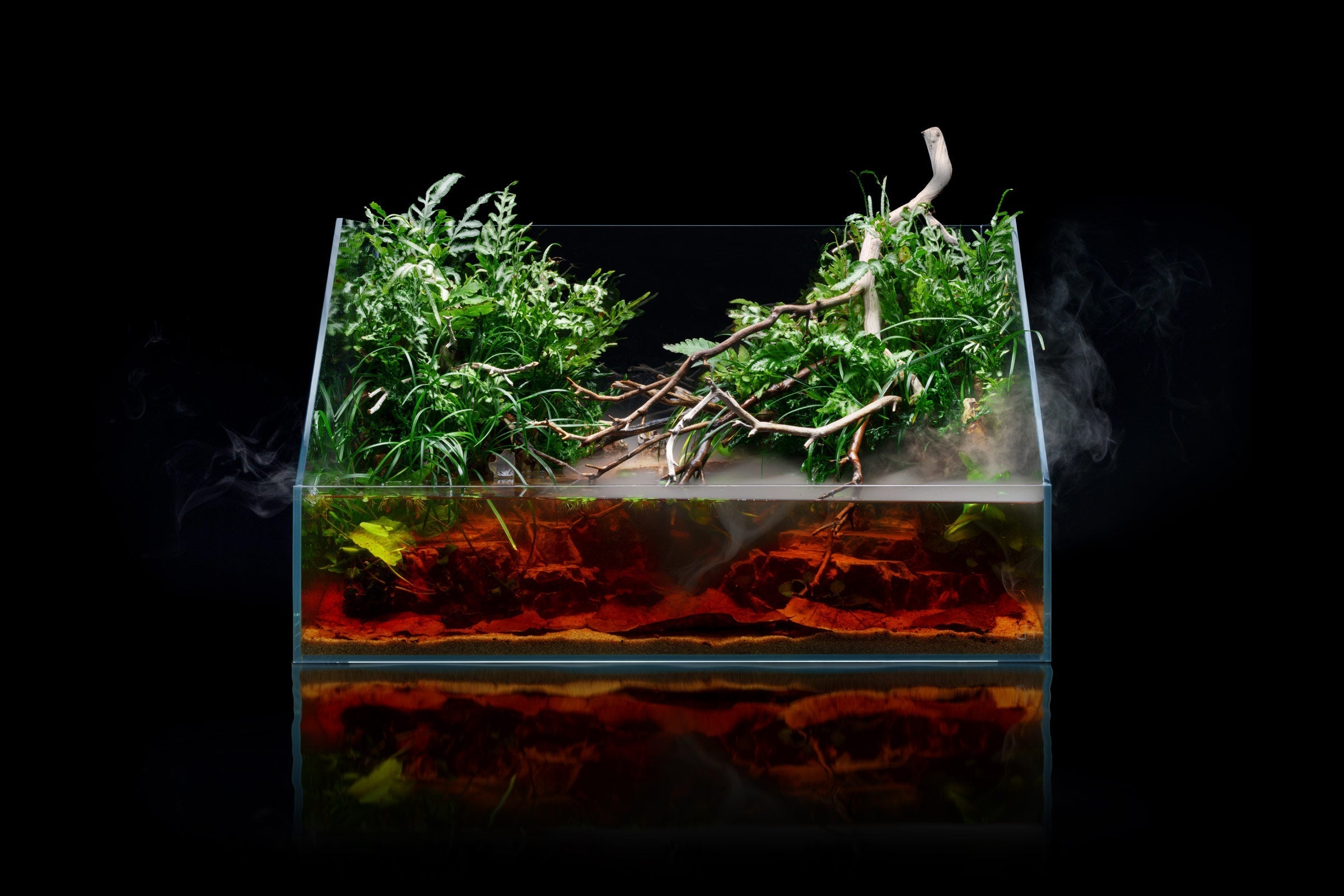 Paludarium Tank System