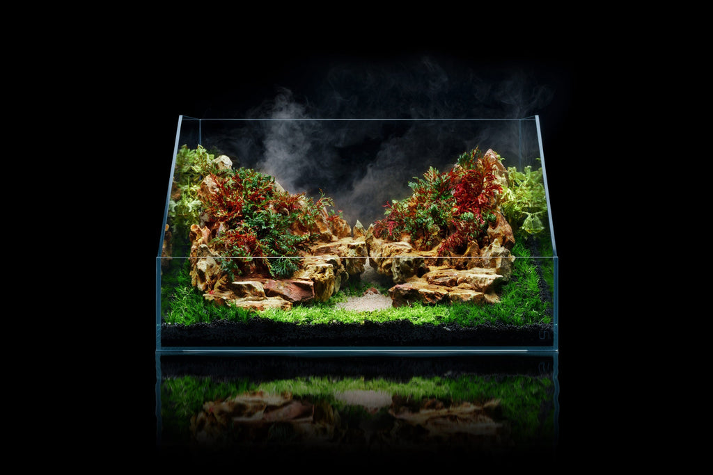 Paludarium Tank System