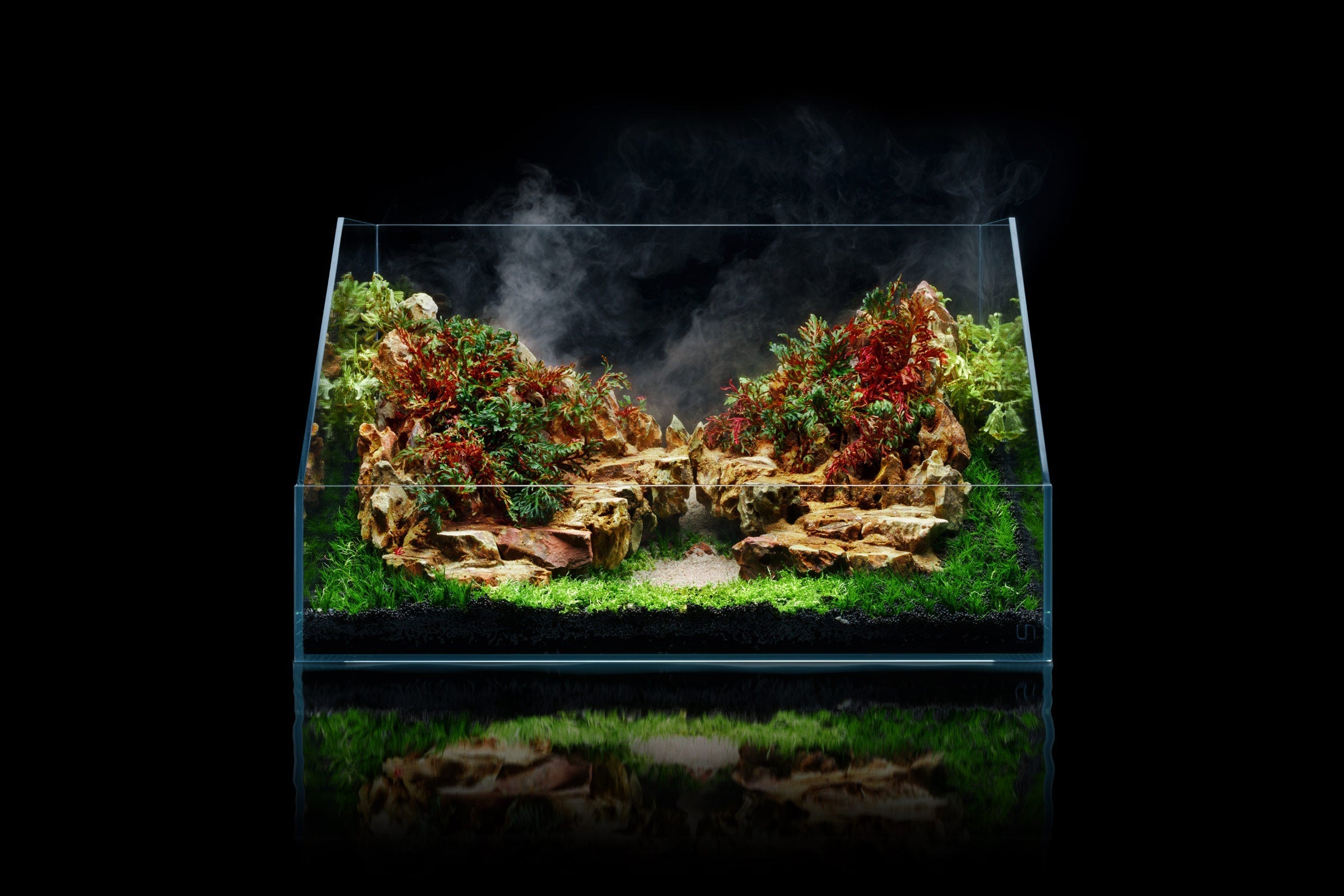 Paludarium Tank System