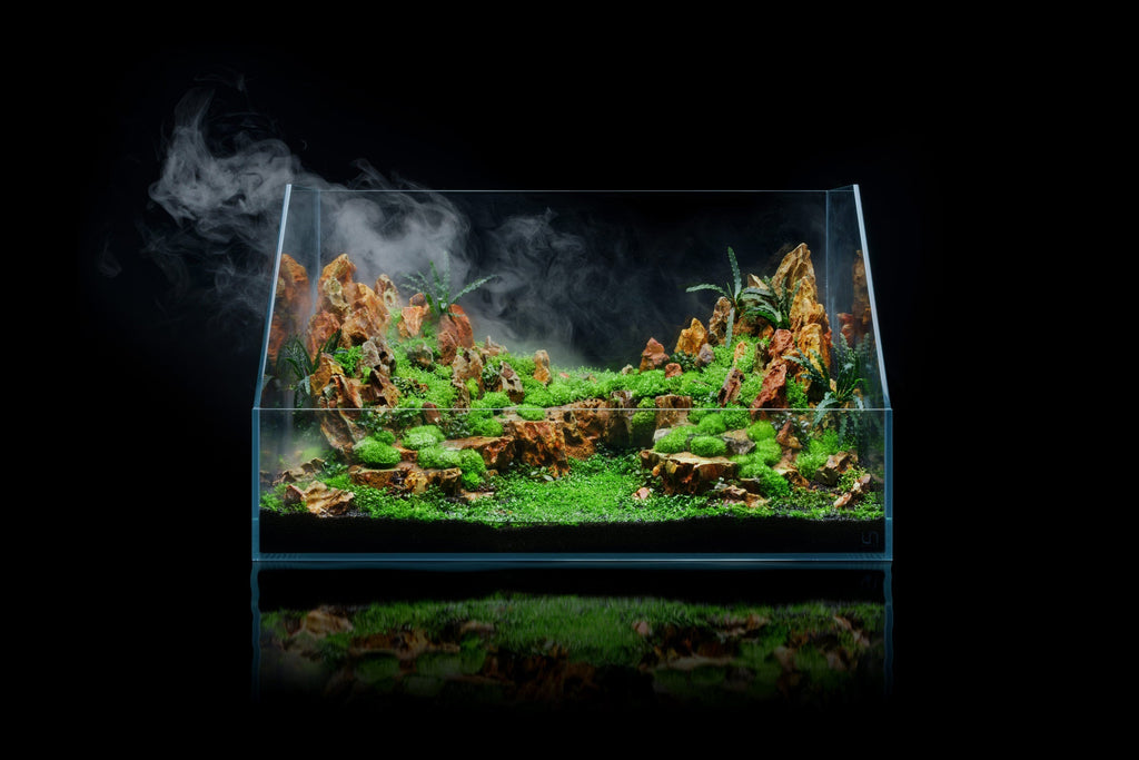 Paludarium Tank System