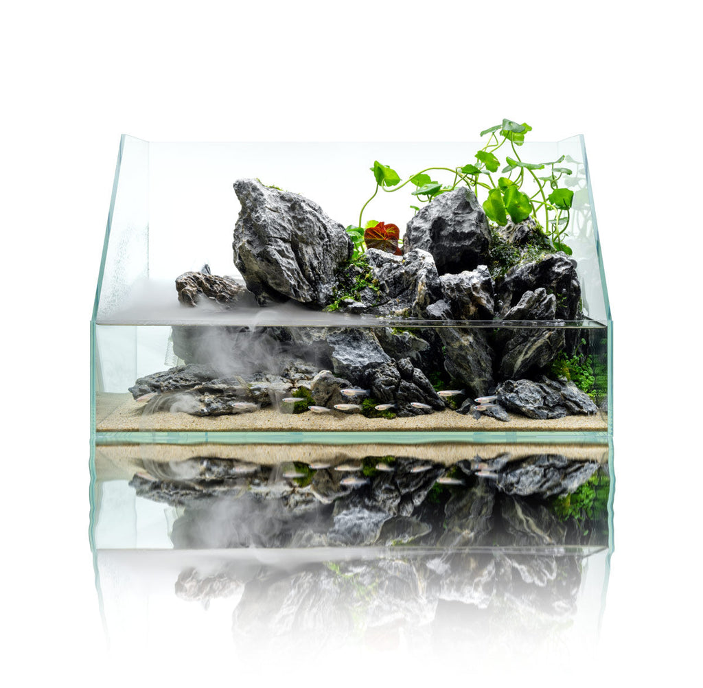 Paludarium Tank System