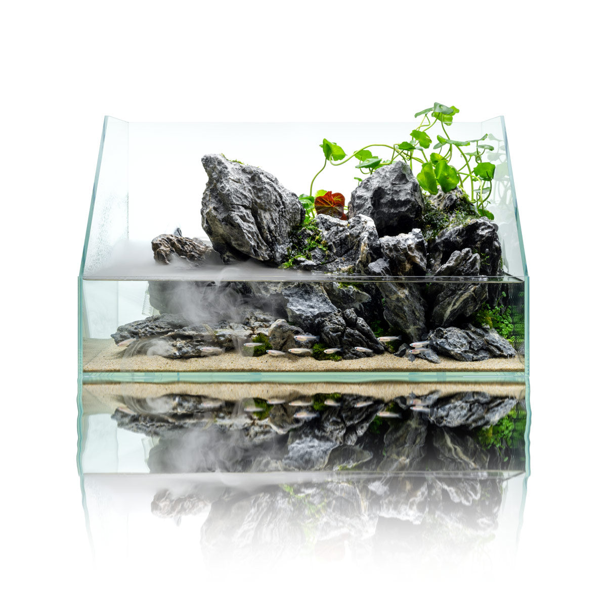 Paludarium Tank System