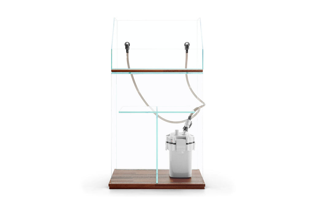 Paludarium Tank System
