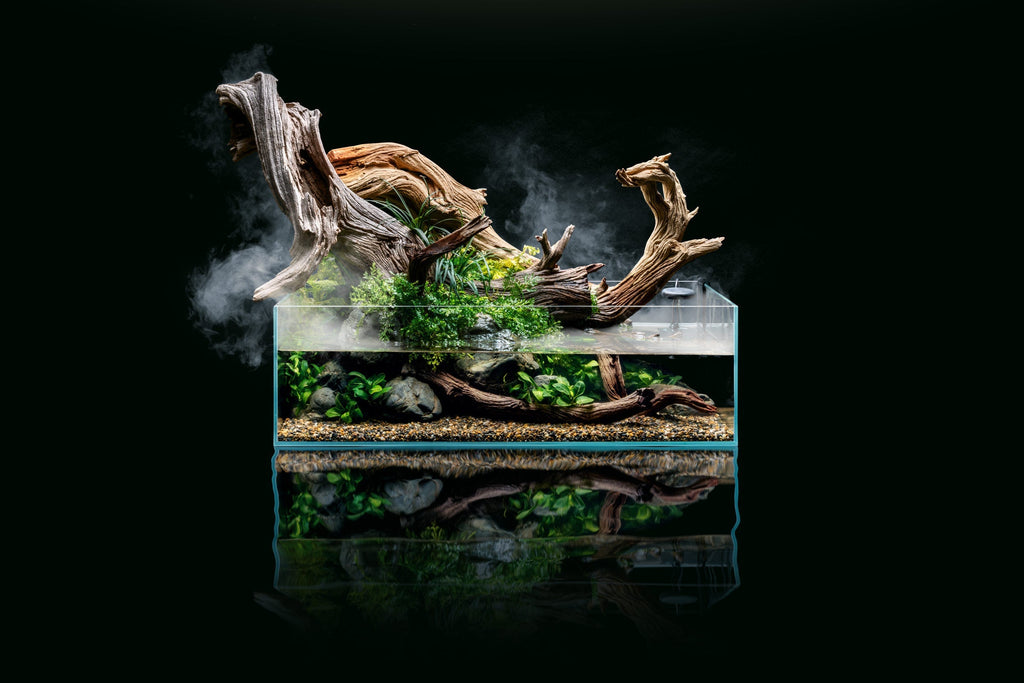 Rimless Shallow Glass Aquarium Tank