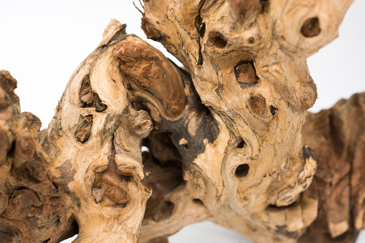 Natural Amazon Wood Driftwood for Aquariums