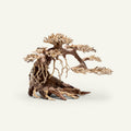 Aquascaping Bonsai Driftwood 021